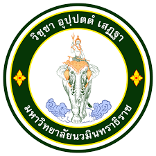 NMU logo